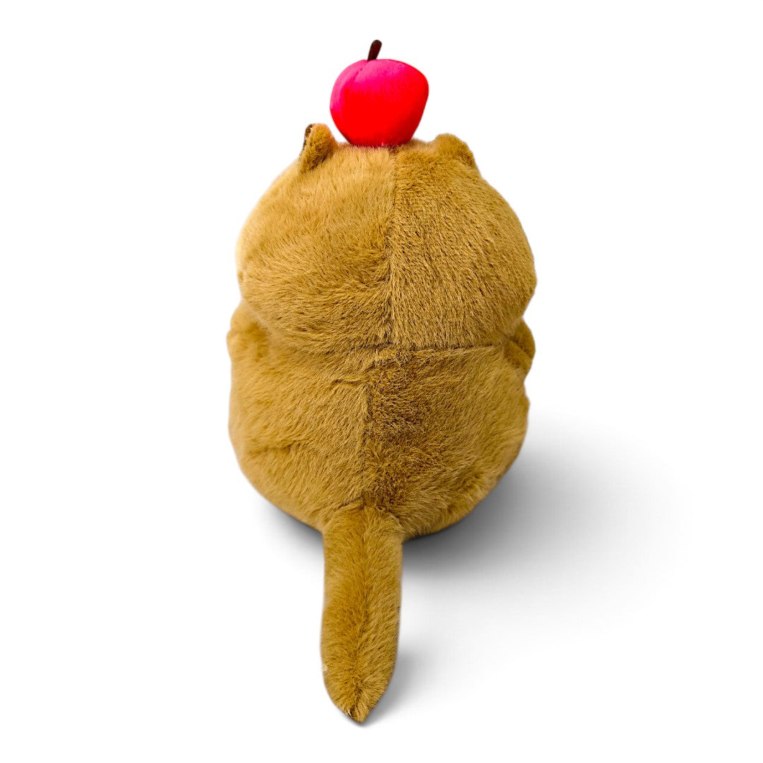 Peluche Castor Oso Clásico Fruta Roja