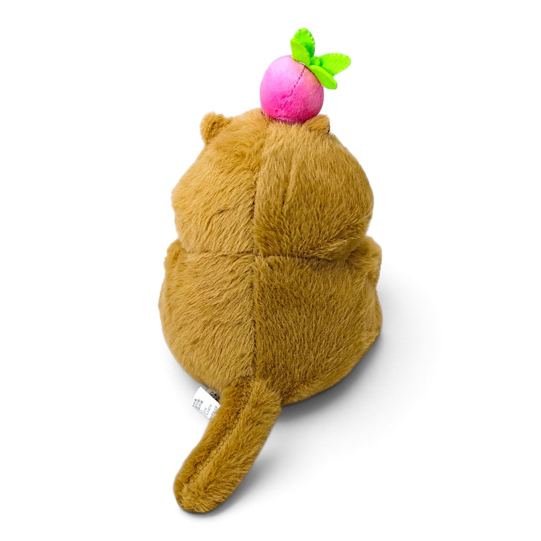 Peluche Castor Oso Clásico Fruta Rosa