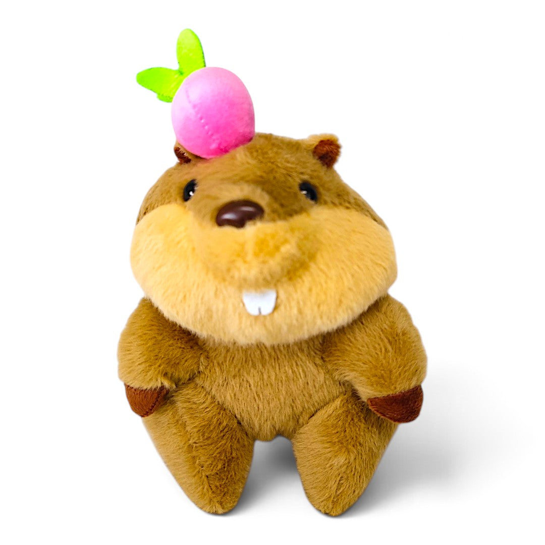 Peluche Castor Oso Clásico Fruta Rosa