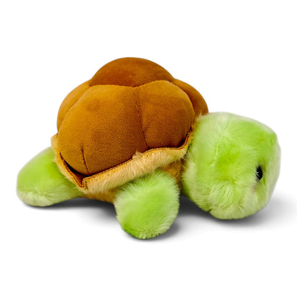 Peluche Tortuga Verde